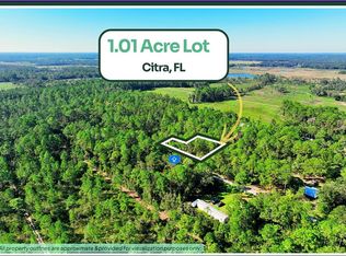 TBD NE 66TH AVENUE LOT 27, CITRA, FL 32113