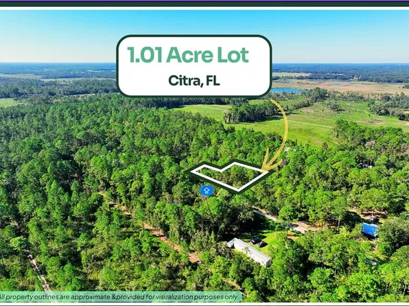 TBD NE 66TH AVENUE LOT 27, CITRA, FL 32113