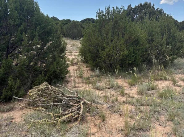 Wilson Rnch Lot 8, Estancia, NM 87016