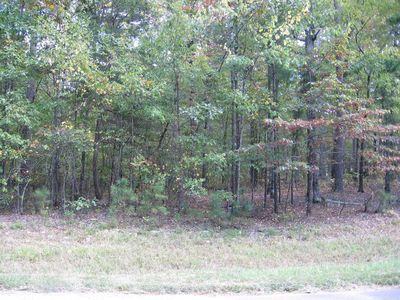 2 Villacarriedo Dr, Hot Springs Village, AR, 71909