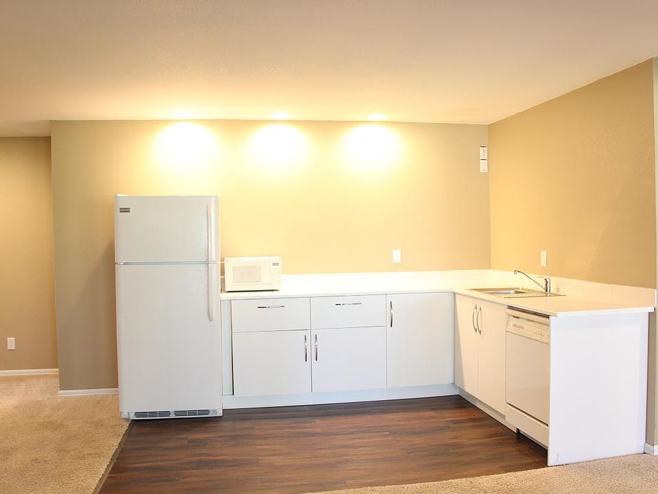 brand new kitchen, induction cooktop