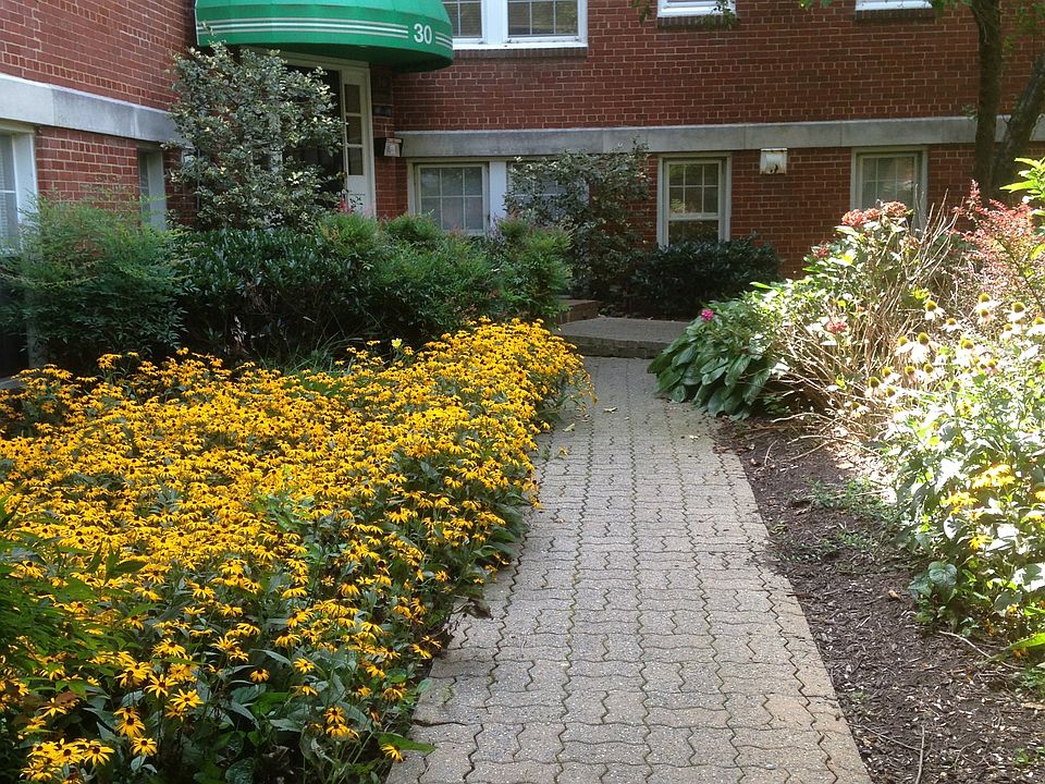 Peaceful courtyard setting