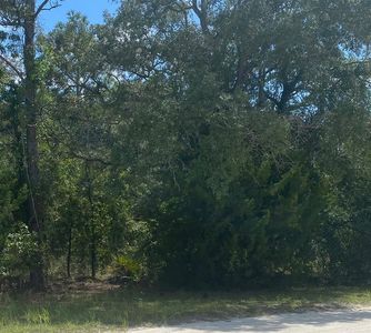 PEACEFUL AVENUE LOT 13, Brooksville, FL, 34614