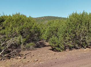 County Road 3193 LOT 258, Vernon, AZ 85940