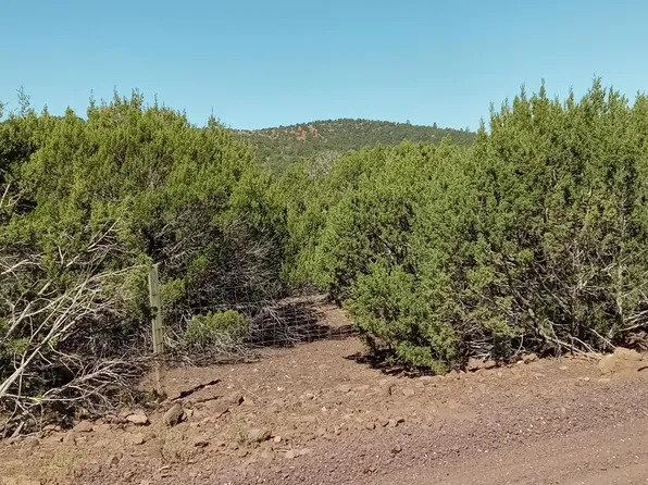 County Road 3193 Lot 258, Vernon, AZ 85940