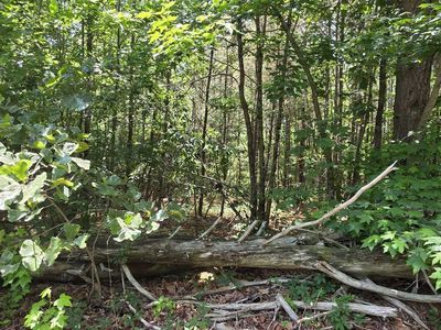455AC County Road 730, Henagar, AL, 35978