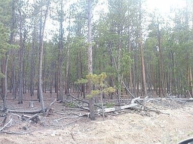 1st image of 720 Juniper Dr