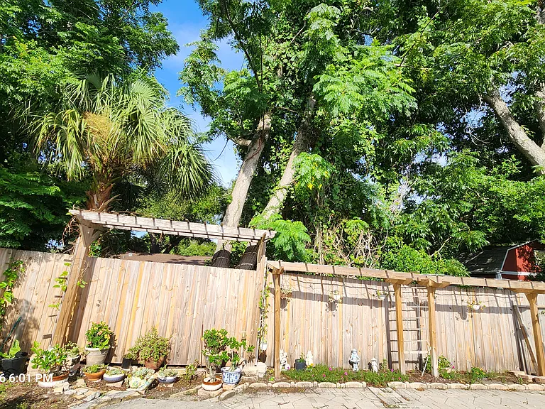 Private backyard