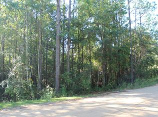 195 Horsetail Ave, Middleburg, FL 32068