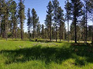 12038 Little Elk Rd, Deadwood, SD 57732