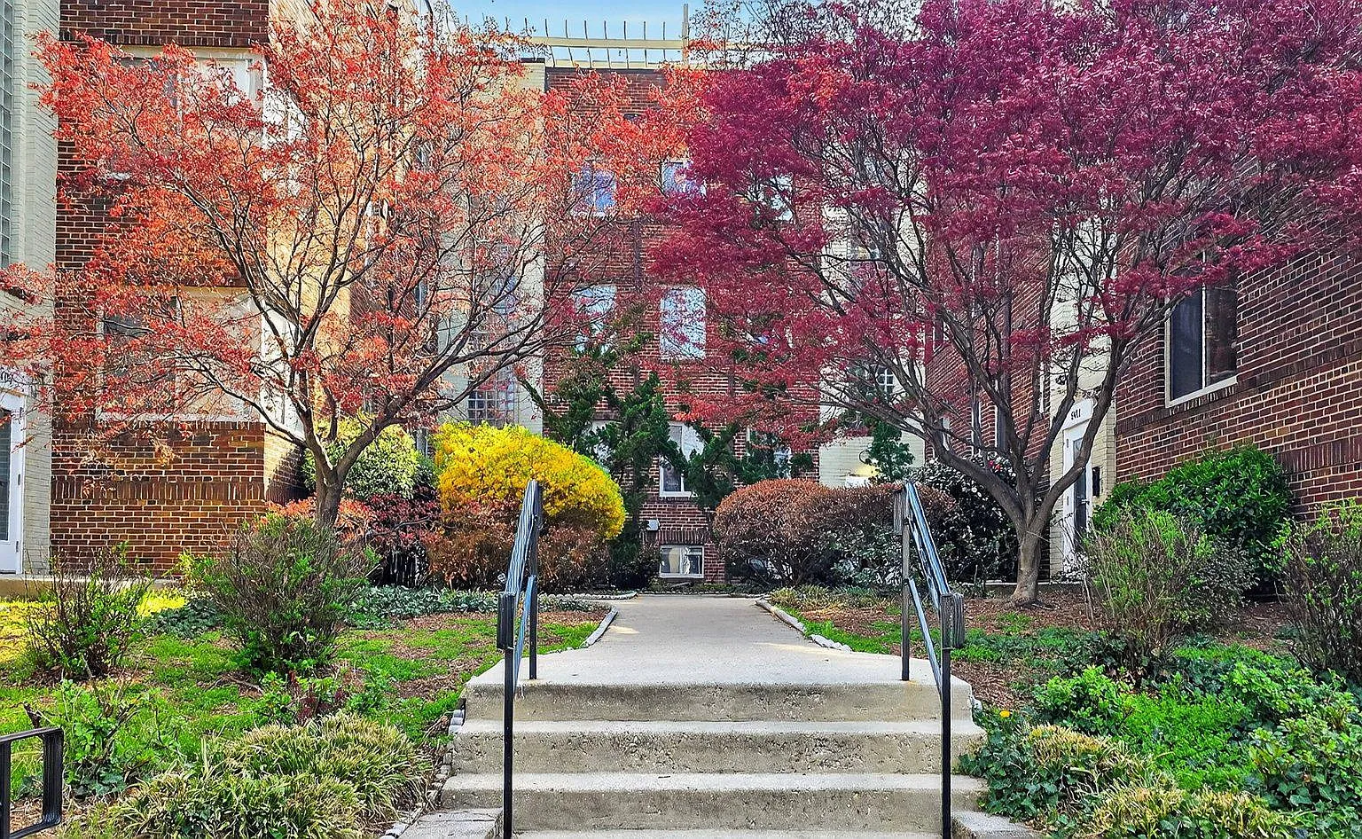 1 bed, 1.0 bath, 720 sqft, $2,900 — Photo 2