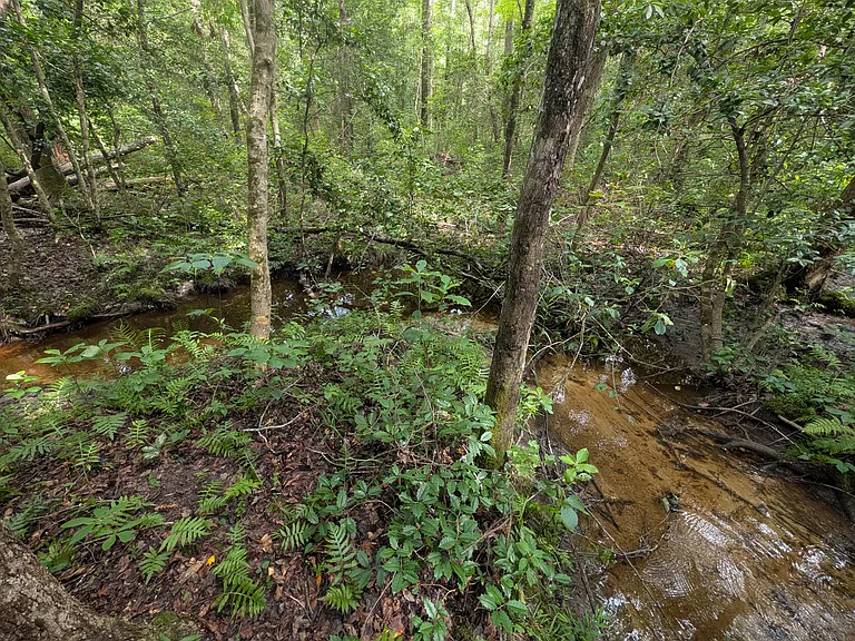 7427 Hickory Rd — Photo 29