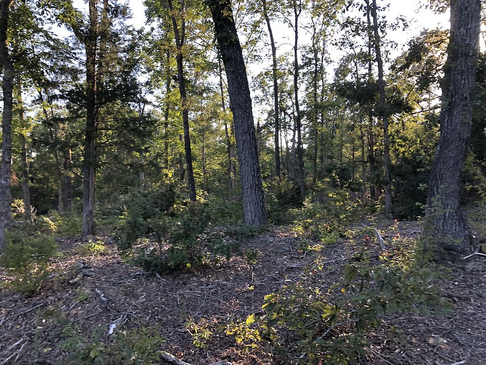 2nd image of 2426 Brodies Landing Rd