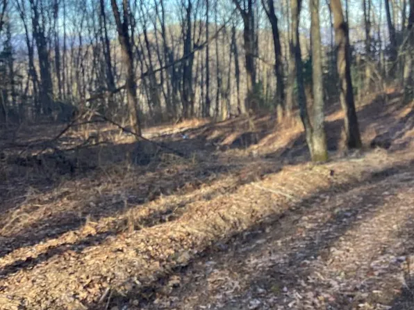 0 Mountain Vis, Bryson City, NC 28713