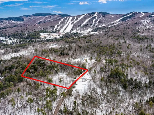 59 Davis Road, Danbury, NH 03230