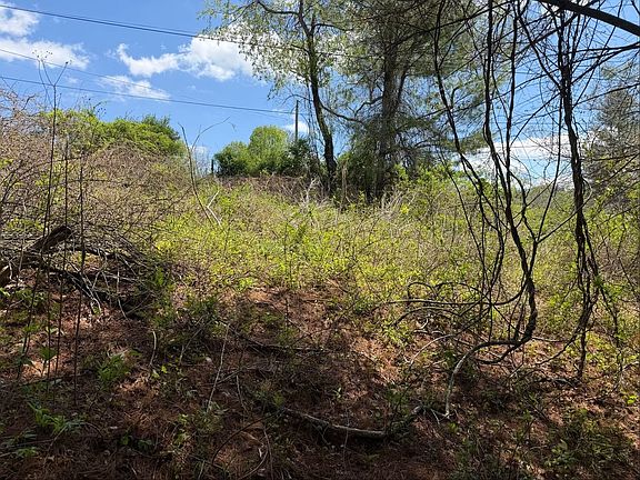 4th image of 0 Pipers Gap Rd