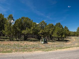 Lot 6 Waterview Court, Ridgway, CO 81432