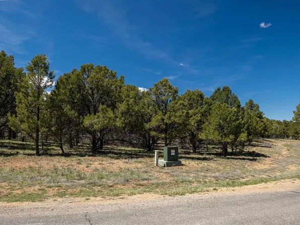 Lot 6 Waterview Court, Ridgway, CO 81432