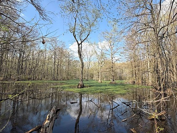 5th image of 0 County Rd #420