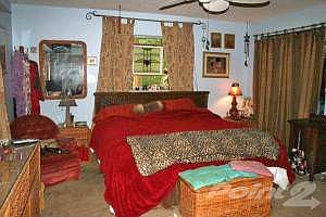 136 Gumbo Limbo