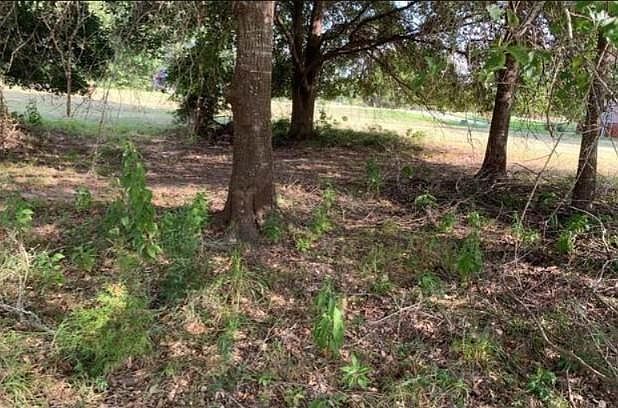 2nd image of 8 Wild Iris Ct Lot 34