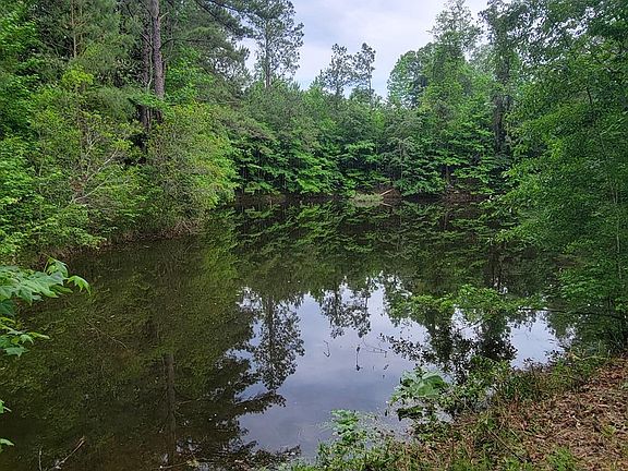 5th image of 555 County Road 137