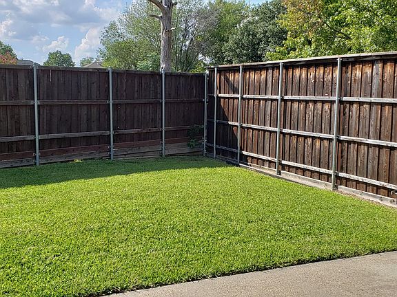Other Side of Back Yard
