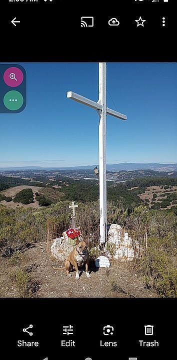 Family Resting place. Heaven
