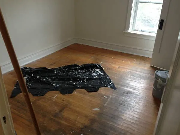 2 bed, 1.0 bath, $1,800 — Photo 4