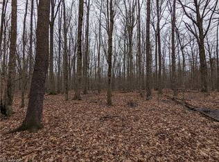 New London Rd, Geneva, OH 44041