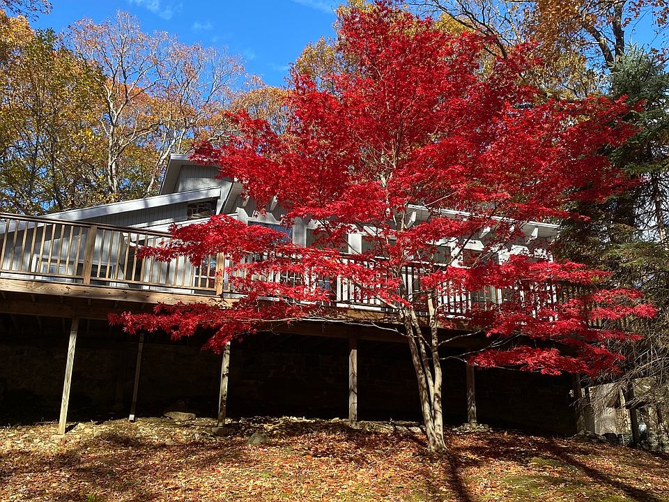 1st image of 134 Delaware Road