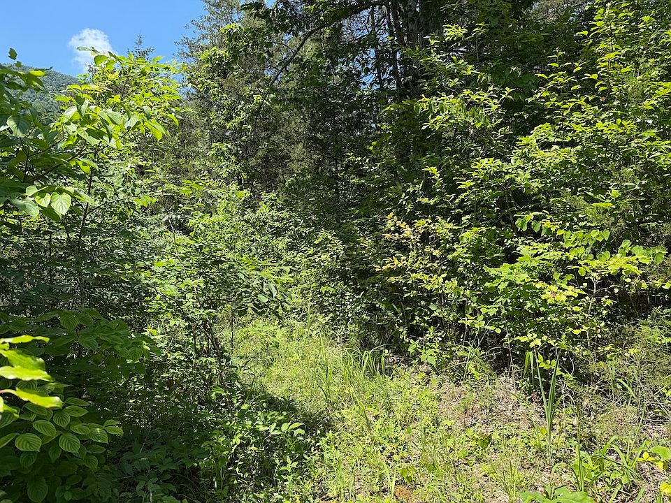 1st image of 0 Mountain Shores Rd