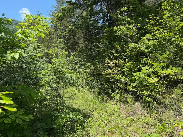 0 Mountain Shores Rd, New Tazewell, TN 37825
