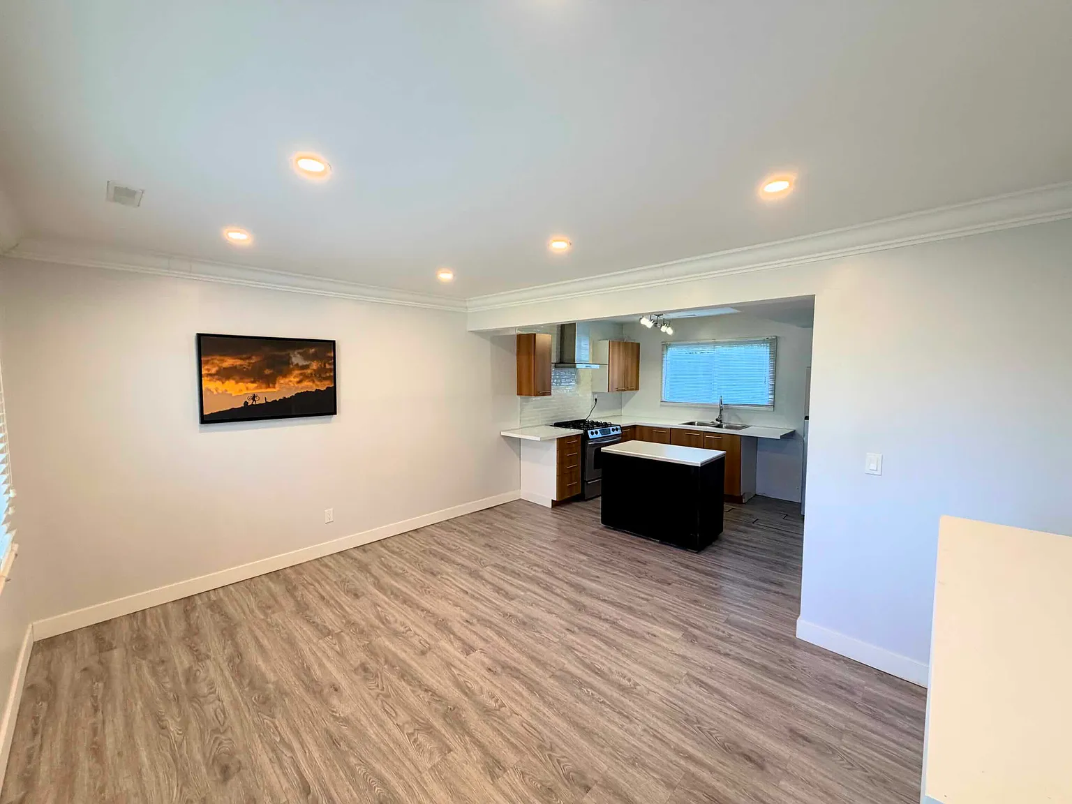 1 bed, 700 sqft, $1,100 — Photo 4