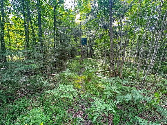 3rd image of 9389A Kundinger Rd