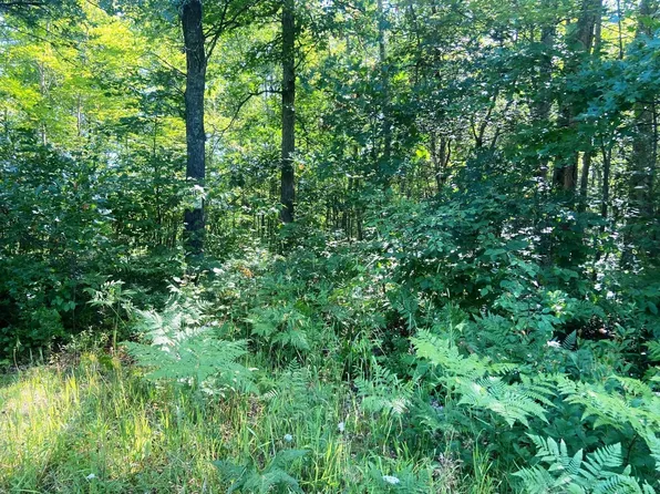 Lee Rd, Webster, WI 54893