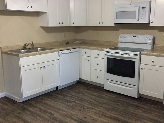 Kitchen area. Dishwasher, Microwave, electric stove & Frig.