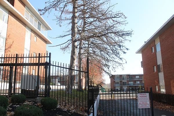1st image of 8119 Campbell St APT 2