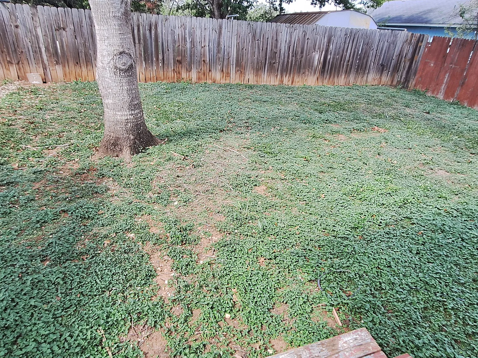 3 bed, 1316 sqft, $1,350 — Photo 3