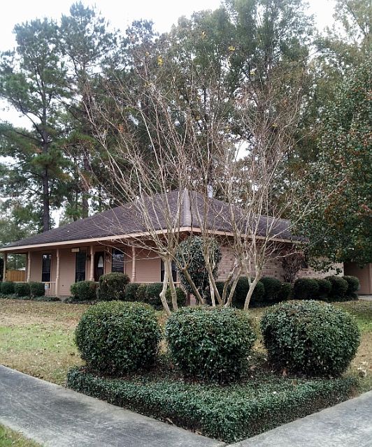 1st image of 3558 Hemlock St
