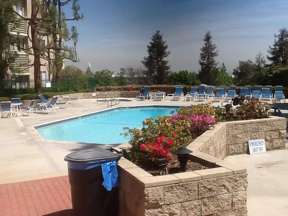 Gorgeous Community Pool with View
