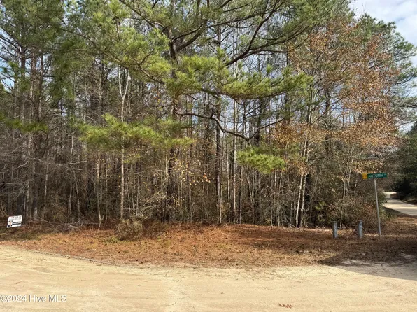 55 Autumn Drive, Vass, NC 28394