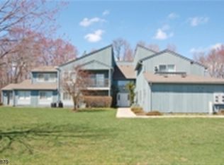 47 Drake Ln, Ledgewood, NJ 07852