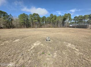 290 Raynor Sands Dr LOT 14, Dunn, NC 28334