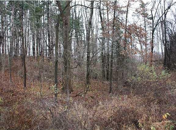2nd image of 5331 Township Road 187