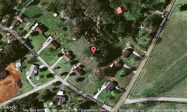 Map View
