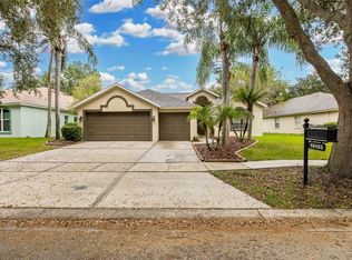 19103 DOVE CREEK DRIVE, TAMPA, FL 33647