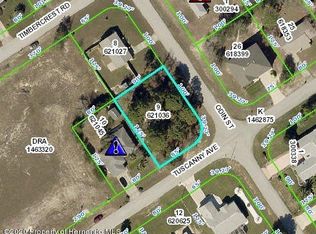 4447 Odin St, Spring Hill, FL 34608