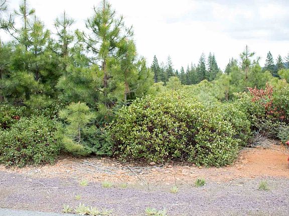 5th image of 145 Walsh Ct