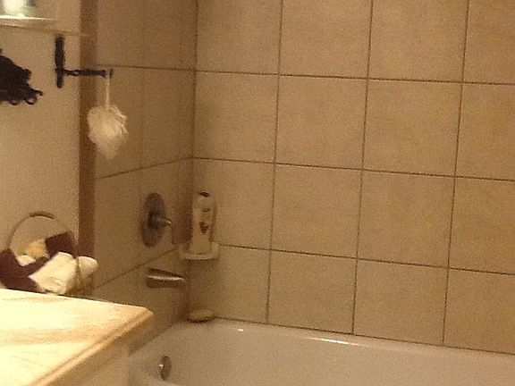 Hall Bathroom 
